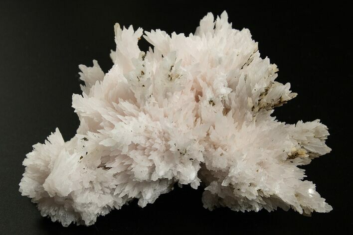 Pink Manganoan Calcite Crystal Cluster - Fluorescent! #337392